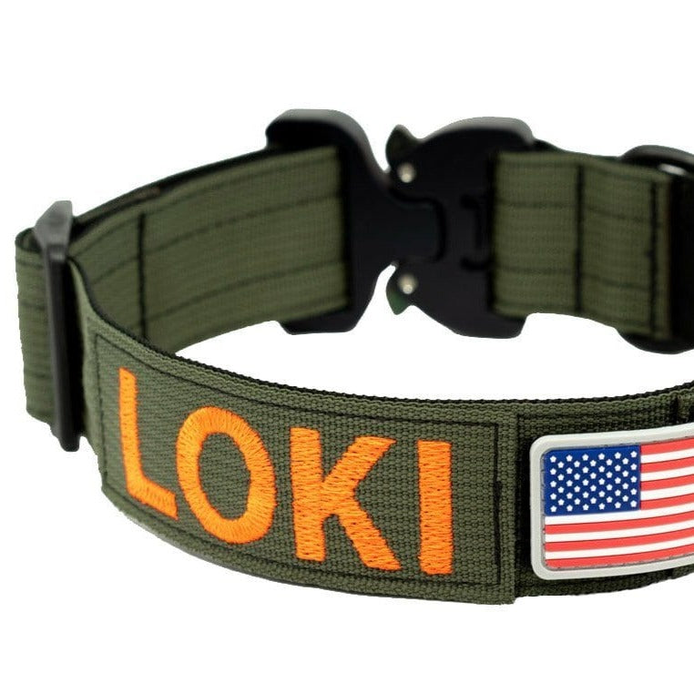 Pet Collars Template - Pinlord.com