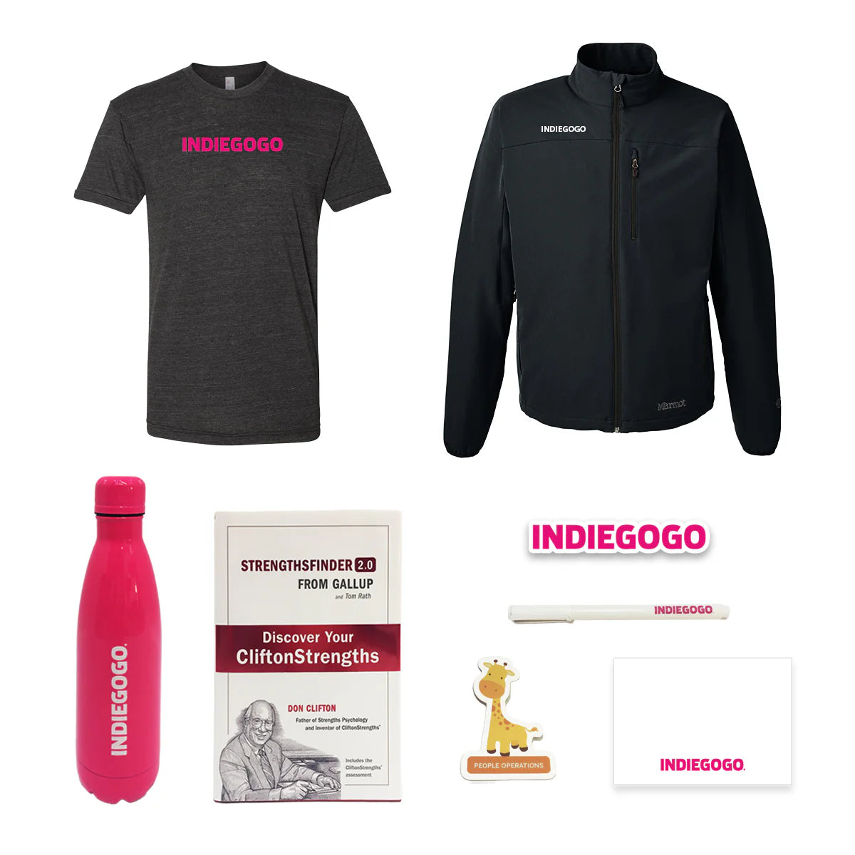 Indiegogo x Pinlord crowdfunding project image showcasing custom merchandise and manufacturing services for successful campaigns.