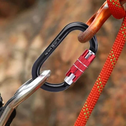 Custom Carabiners - Pinlord.com