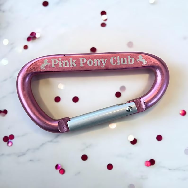 Custom Pinlord.com carabiners with personalized engravings and vibrant colors, designed for outdoor and climbing use.