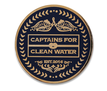 Close-up of custom pins with intricate designs, showcasing high-quality manufacturing by Pinlord.com.