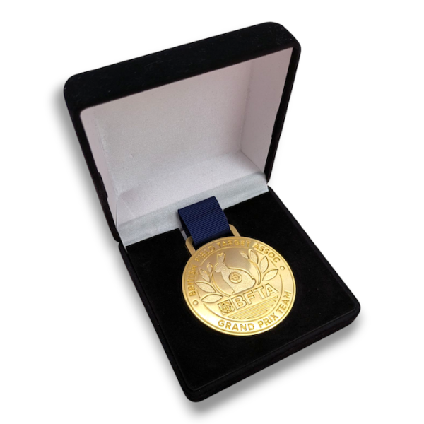 Die-struck custom medal from Pinlord.com displayed in a presentation box, showcasing detailed craftsmanship and metallic finish.