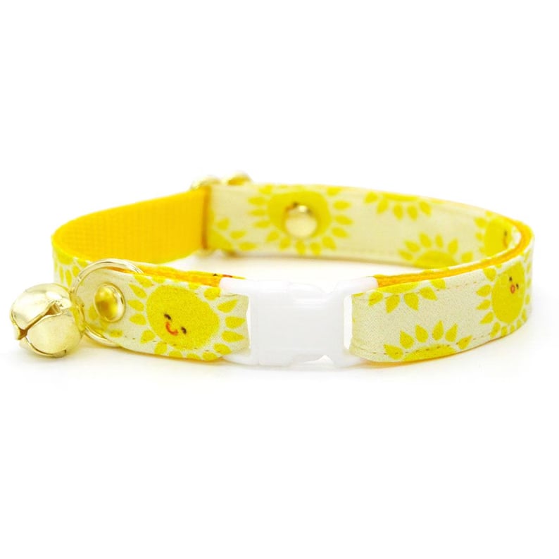 Colorful custom pet collar with engraved name tag, made by Pinlord.com, designed for small dogs and cats.