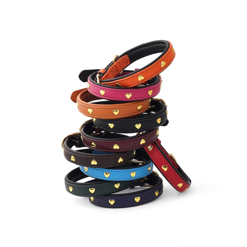 Custom pet collar from Pinlord.com featuring personalized design and durable material for dogs and cats.