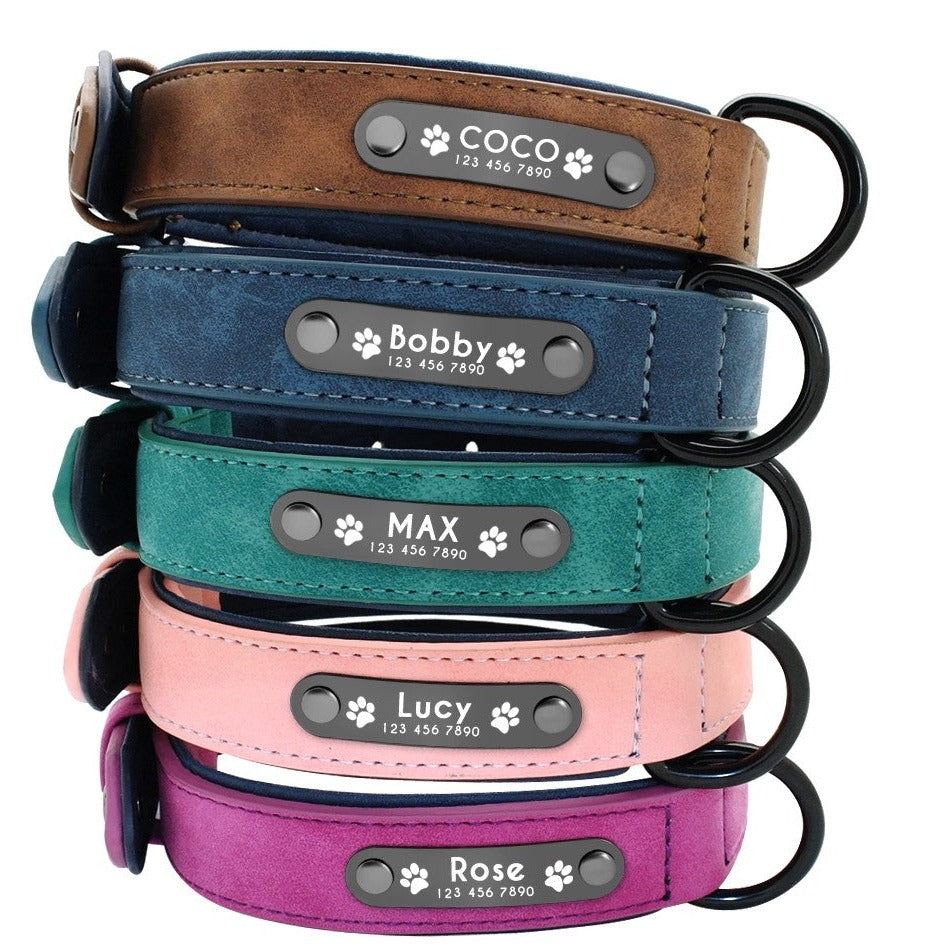 Pet Collars Template - Pinlord.com