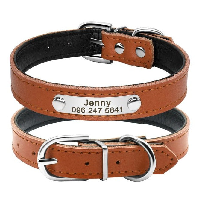 Pet Collars Template - Pinlord.com