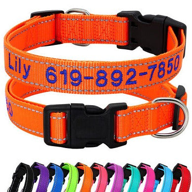 Pet Collars Template - Pinlord.com