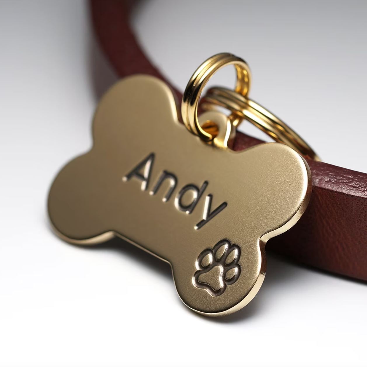 Pet Collars Template - Pinlord.com
