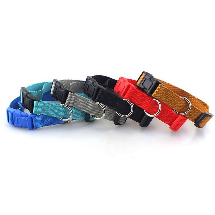 Pet Collars Template - Pinlord.com