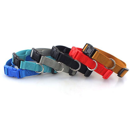 Pet Collars Template - Pinlord.com