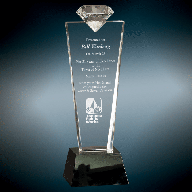 Custom trophies from Pinlord.com featuring personalized designs and high-quality craftsmanship for awards and recognition.