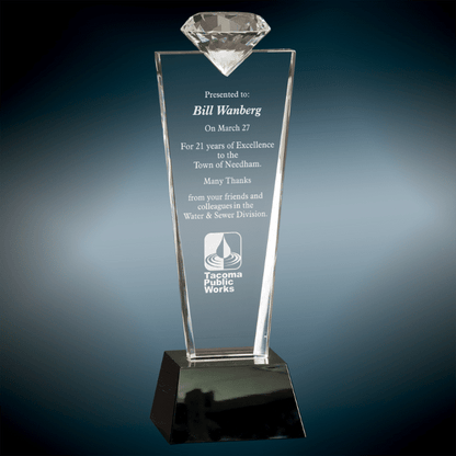 Custom trophies from Pinlord.com featuring personalized designs and high-quality craftsmanship for awards and recognition.