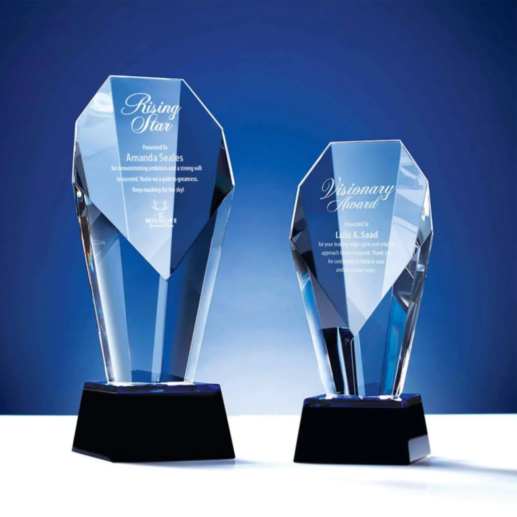 Custom trophies from Pinlord.com featuring personalized designs and engraved details on various trophy styles.